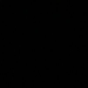 Meet your Posher, Chase